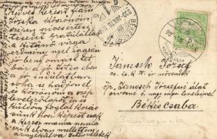 1909 Bábolna, Bábolna puszta; Szarvasmarha vágása böllérrel, hátul a levél írója, a marha tulajdonos...