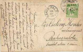 1908 Budapest II. Hűvösvölgy, Református kirándulás és mulatság zenekarral, magyar zászló. photo