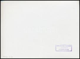 cca 1960 M62 116-os mozdony újkorában. Fotó / Locomotive 18x13 cm