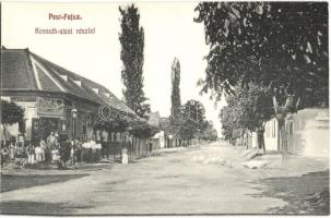 Fajsz, Pest-Fajsz; Kossuth utca, Somogyi István üzlete és saját kiadása, létra