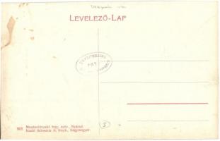 Csiliznyárad, Nyárad, Nárad, Topolovec; utcakép, Ker. Fogyasztási szövetkezet üzlete. Magánelárusító...