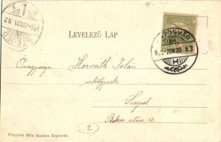 1906 Kaposvár, látkép, vasútállomás, gőzmozdony. Kiadja Fenyvesi Béla (EK)