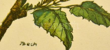 Bech jelzéssel: Virág grafika. Nyomat, papír. Üvegezett keretben. 26x36 cm