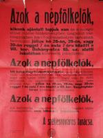1914 I. Világháborús hirdetmény népfölkelők összehívása 50x60cm