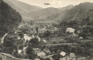 1917 Pojén, Poiana;