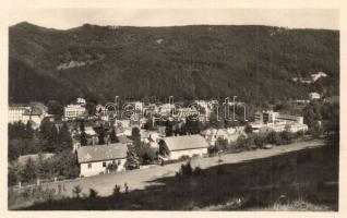 Trencsénteplic, Trencianske Teplice; Celkovy pohlad / látkép / general view