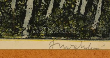 Imre István (1918-1983): Balaton. Színezett rézkarc, karton, jelzett, 39×49 cm