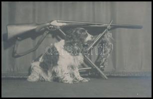 cca 1920 Kutya puskával, vadász emlékfotó, szép állapotban, 8,5×13,5 cm