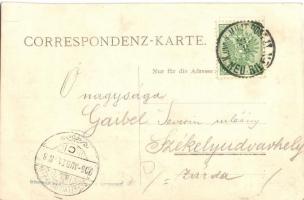 1905 Bilek, katonatisztek a táborban / K.u.K. military officers in Bilek. photo