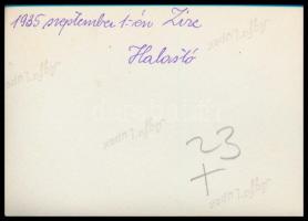 1935 Zirc, halastó, hátoldalon feliratozott fotó, 6×8 cm