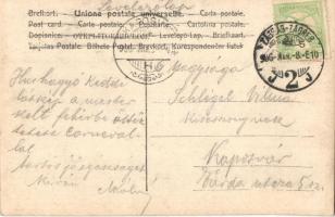 1906 Zagreb, Zágráb, Agram; Húshagyókeddi látkép a mesterkélt fehérbe öltöztetett karnevállal, Engle...
