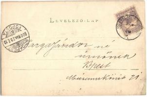 1900 Selmecbánya, Schemnitz, Banská Stiavnica; látkép a Leányvárral / general view with castle. phot...