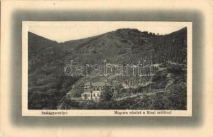 Szilágysomlyó, Simleu Silvaniei; Magura részlet a Moni szőlővel, Moni villa. W. L. P. Ideal Schwarcz E. és Társa kiadása, Simonek G. amateur felvétele / Magura mountain, villa, vineyards (EK)