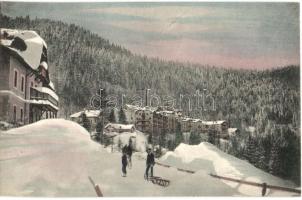 Semmering, Hotel Panhans / sledding people in winter