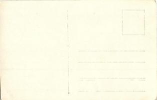 Első világháborús osztrák-magyar álcázott ágyú / WWI K.u.k. military, camouflaged cannon. photo