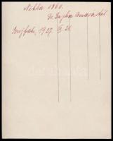 1927 Nikla, Berzsenyi Dániel emlékműve, hátoldalon feliratozott fotó, 10×8 cm