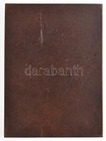 Solymári Valkó László (1909-1984) 1954. "Szamuely Tibor" Br emlékplakett (66x90mm) T:2