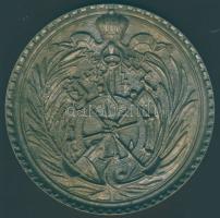 "Óbudai Hajógyár" extrém nagyalakú emlékplakett DDSG címerrel! T:2