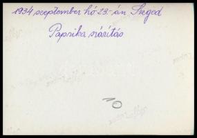 1941-1943 Motorversenyzők, Zsótér és Vágai, 3 db utólagos előhívás, hátoldalon feliratozva, 9×11,5 c...