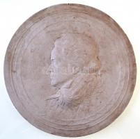 Seregély Dezső (1867-1948) 1927. "Beethoven 1770-1827" egyoldalas gipsz plakett (204mm) T:2