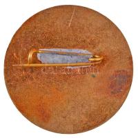 ~1970-1980. "Vas Tej Törzsgárda" zománcozott jelvény (31mm) T:2