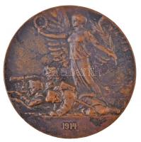 Osztrák-Magyar Monarchia 1914. "Az első világháború kezdete" Br emlékérem. Szign.: Rudolf ...