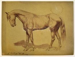 Ifj. Vastagh György (1868-1946): Ló. Tus-akvarell, papír, foltos, jelzett, 23,5×31,5 cm