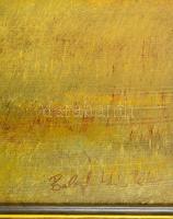 Balogh István Péter (1950-): Tisztás. Olaj, farost, jelzett, keretben, 40×50 cm