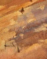 Olvashatatlan jelzéssel: Kocsikázás a parkban. Olaj, karton, keretben, 40×50 cm