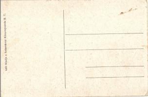 Szászváros, Broos, Orastie; zsinagóga / synagogue (EK)