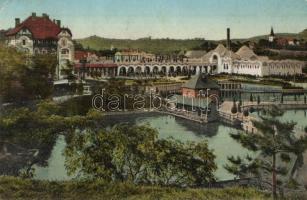 Vízakna, Salzburg, Ocna Sibiului; Fürdő látkép / spa (r)