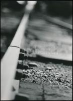 cca 1977 A magyar fotográfia avantgarde korszakából 3 db feliratozott vintage fotó, 16x24 cm és 18x2...