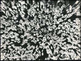 cca 1977 A magyar fotográfia avantgarde korszakából 3 db feliratozott vintage fotó, 16x24 cm és 18x2...