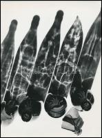 cca 1979 Üvegek, 3 db vintage fotó, kettő feliratozott, 13x18 cm és 24x18 cm között