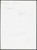 cca 1979 Üvegek, 3 db vintage fotó, kettő feliratozott, 13x18 cm és 24x18 cm között