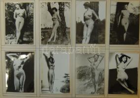 110 db fekete-fehér erotikus fotó albumban