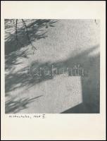 cca 1990 Kiskunhalas, Daczi Péter 2 db feliratozott vintage fotója, 24x18 cm