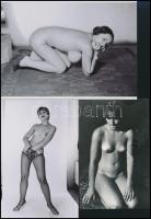 cca 1983 Vegyes merítés a régi, szolidan erotikus felvételek közül, 7 db vintage negatív + 8 db vint...