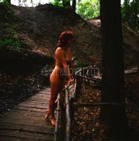 cca 1983 Vegyes merítés a régi, szolidan erotikus felvételek közül, 7 db vintage negatív + 8 db vint...