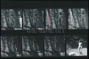 cca 1981 Természetimádók, szolidan erotikus felvételek, 9 db vintage negatív + 11 db vintage fotó és...