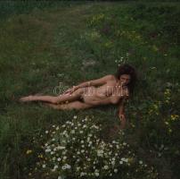 cca 1981 Természetimádók, szolidan erotikus felvételek, 9 db vintage negatív + 11 db vintage fotó és...