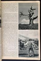 cca 1935-1947 Svájci úti prospektusok, nyomtatványok, 5 db. Változó állapotban