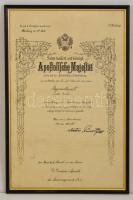 1913 Ezredorvosi kinevezés szárazpecséttel, üvegezett keretben. / Regimentartzt, military doctor appointment 31x48 cm