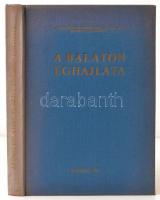 A Balaton éghajlata. A Balaton térségének éghajlati jellegzetességei, hő- és vízháztartása, bioklímá...