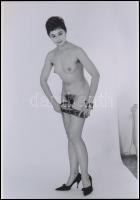 cca 1974 Irodista lányok új szerepben, szolidan erotikus felvételek, 7 db vintage fotó és/vagy mai n...