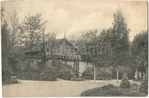 1909 Zsidovin, Berzovia; Aszner villa, színház / villa and theatre