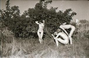 Különféle időpontokban és helyszíneken készült, szolidan erotikus felvételek, 32 db vintage negatív,...