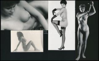 cca 1980-as évekből, válogatás különféle portfóliókból, szolidan erotikus felvételek, 8 db vintage f...