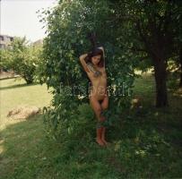 cca 1980-as évekből, válogatás különféle portfóliókból, szolidan erotikus felvételek, 8 db vintage f...