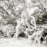 cca 1983 Felejthetetlen emlékek, szolidan erotikus felvételek, 8 db vintage fotó és/vagy mai nagyítá...